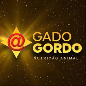 Gado Gordo Gado Gordo