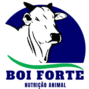 BOI FORTE - URUANA BOI FORTE - URUANA